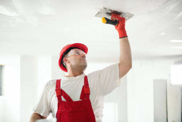 Best Repainting for Renovations  in Scottsbluff, NE